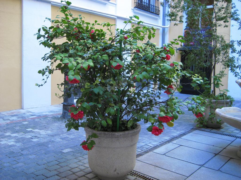 Hostal Huespedes Toledo Madrid Exterior photo